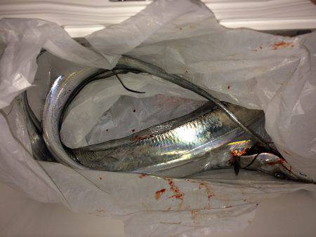 爆風＆爆うねり